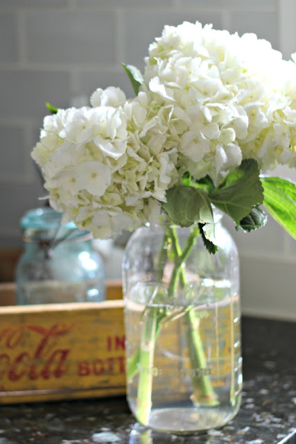 How to Perk Up Wilted Hydrangeas