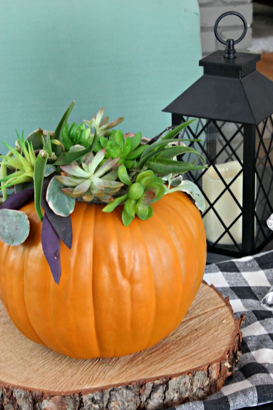Southern State of Mind Fall Decor