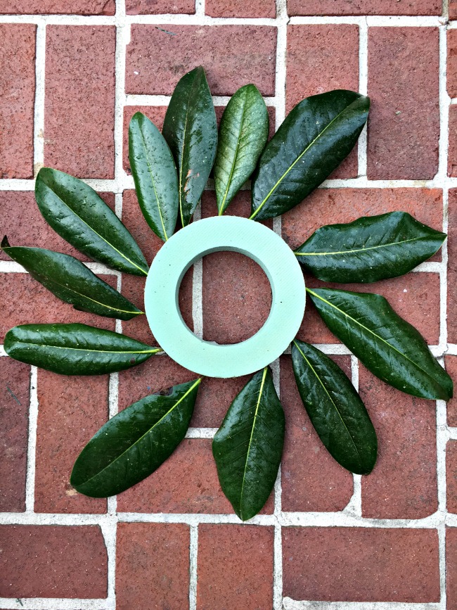magnolia-wreath-tutorial
