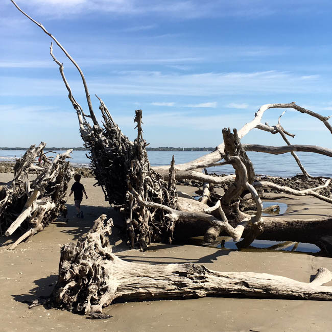 Things to Do In Jekyll Island