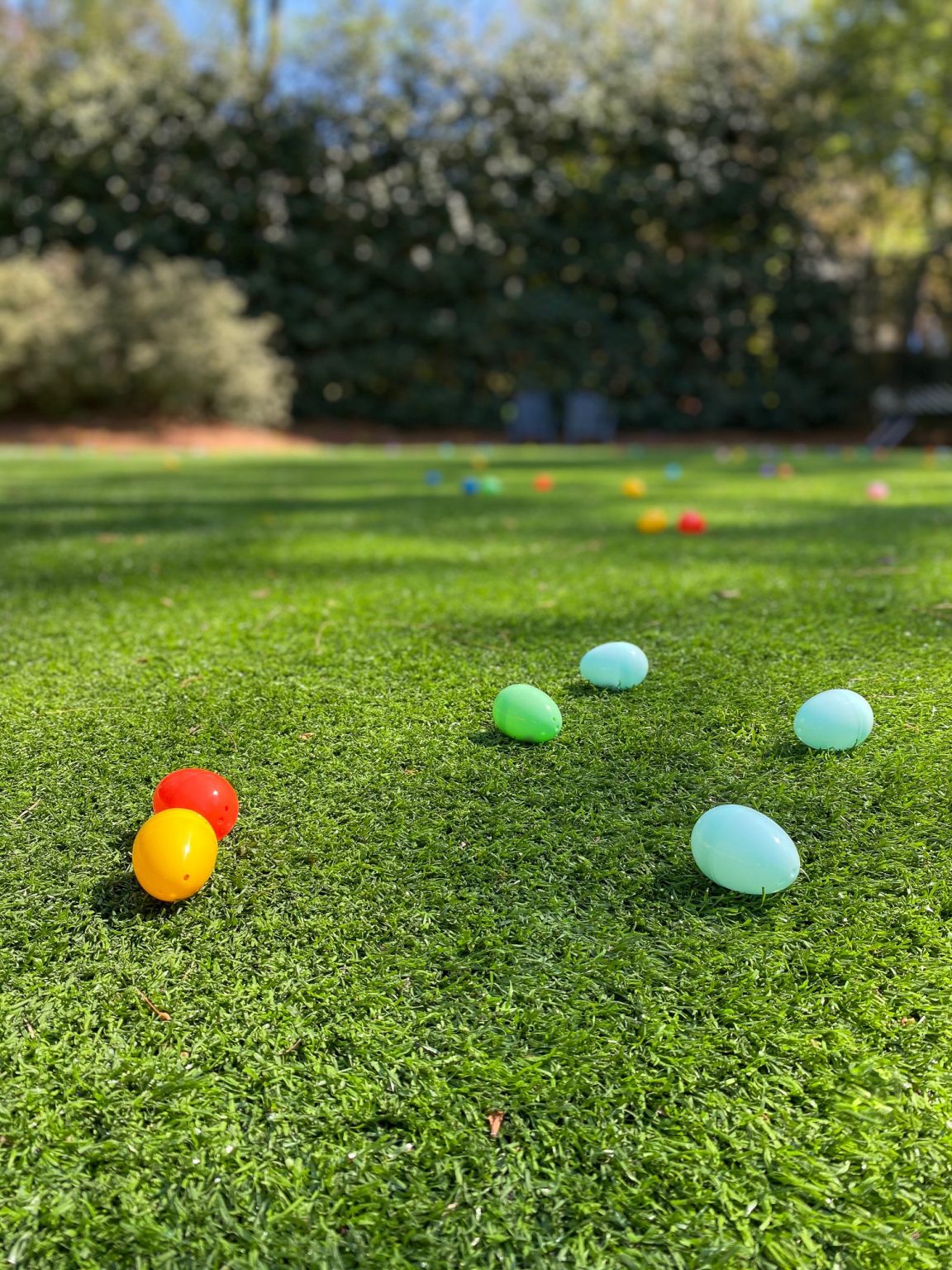 Scenes From Our Easter 2021 - Southern State of Mind Blog by Heather