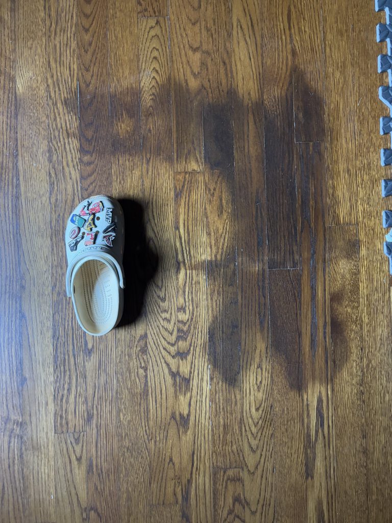 how to get do pee smell out of wood floors