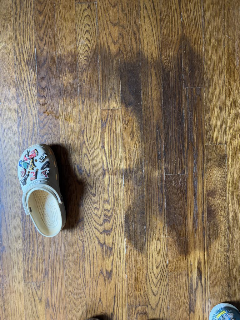 My Pet Peed