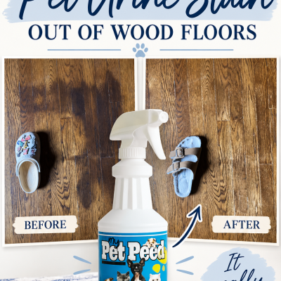 How to Get Dog Pee Smell Out of Wood Floors